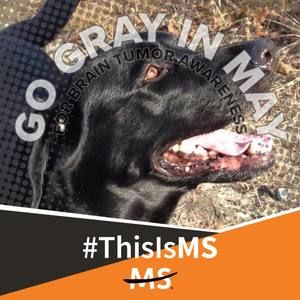 Meet your Posher, Jane